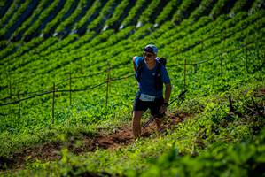 BIB: 1216, 
                            <button type="button" onclick="openModal(19161061)" class="btn btn-primary btn-sm float-right btn-popup" data-toggle="modal" data-target=".modal-high-quality">
                        <i class="fas fa-shopping-cart"></i> Add to Cart
                    </button>
                                            <button type="button" onclick="isThisMe(19161061, true)" class="btn btn-success btn-sm float-right btn-popup btn-isme hidden" data-toggle="tooltip" data-placement="bottom" title="นี่คือรูปของคุณใช่ไหม คลิกที่นี่เพื่อเอาเข้าอัลบั้ม">
                        <i class="fas fa-plus"></i> Add to album
                    </button>
                    <button type="button" onclick="isThisMe(19161061, false)" class="btn btn-warning btn-sm float-right btn-popup btn-isnotme hidden">
                        <i class="fas fa-ban"></i> Remove from album
                    </button>